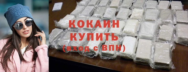 гидра Надым