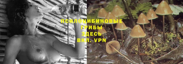 2c-b Алзамай