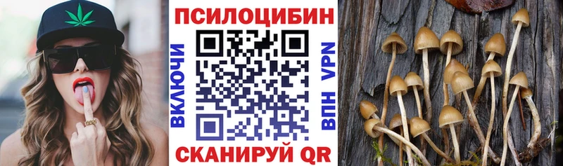 Галлюциногенные грибы Psilocybe  Опочка 